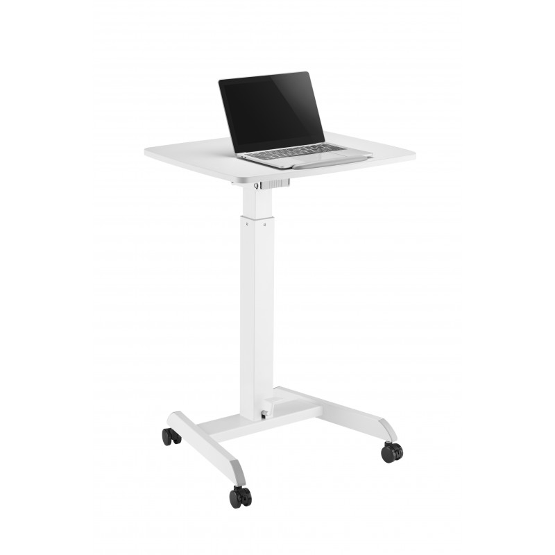 Mobile Writing Table Speaker Stand PC Computer Desk Workstation with Host Holder 