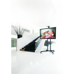 reflecta TV Stand 70VCE-Shelf
