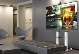 Mobile TV Stands